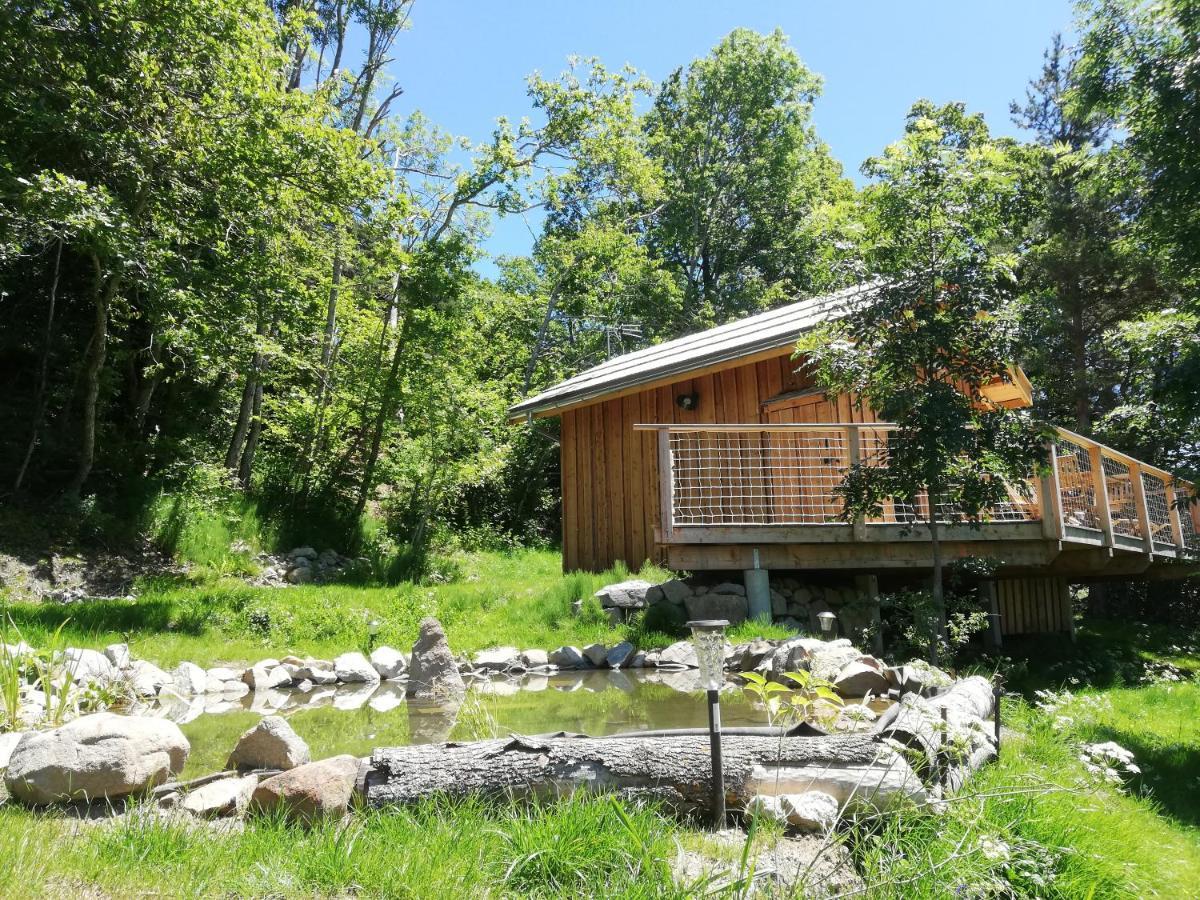 Ma Cabane Des Hautes-Alpes Saint-Julien-en-Champsaur Eksteriør bilde